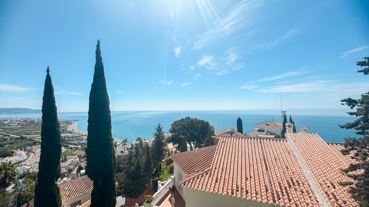 Sea views above rooftops and greenery